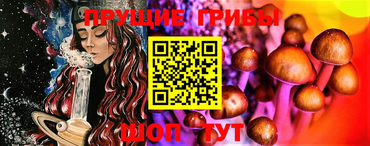 Псилоцибиновые грибы Psilocybe Нарткала